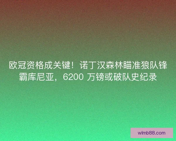 欧冠资格成关键！诺丁汉森林瞄准狼队锋霸库尼亚，6200 万镑或破队史纪录