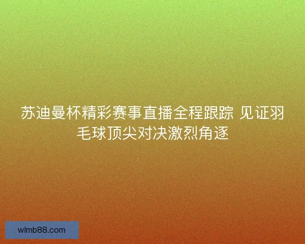 苏迪曼杯精彩赛事直播全程跟踪 见证羽毛球顶尖对决激烈角逐