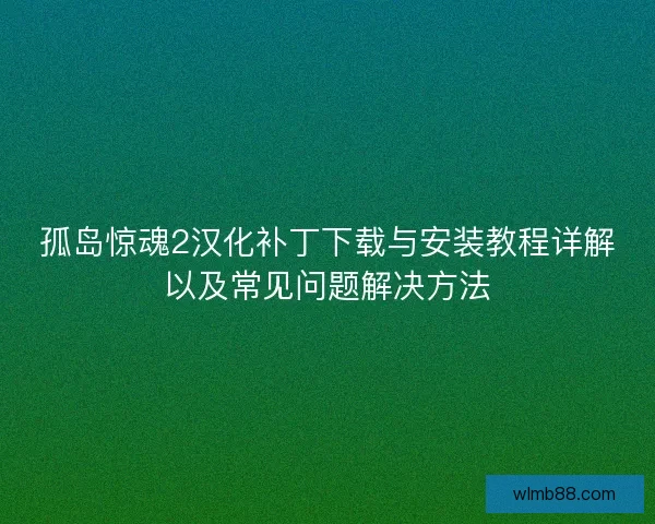 孤岛惊魂2汉化补丁下载与安装教程详解以及常见问题解决方法